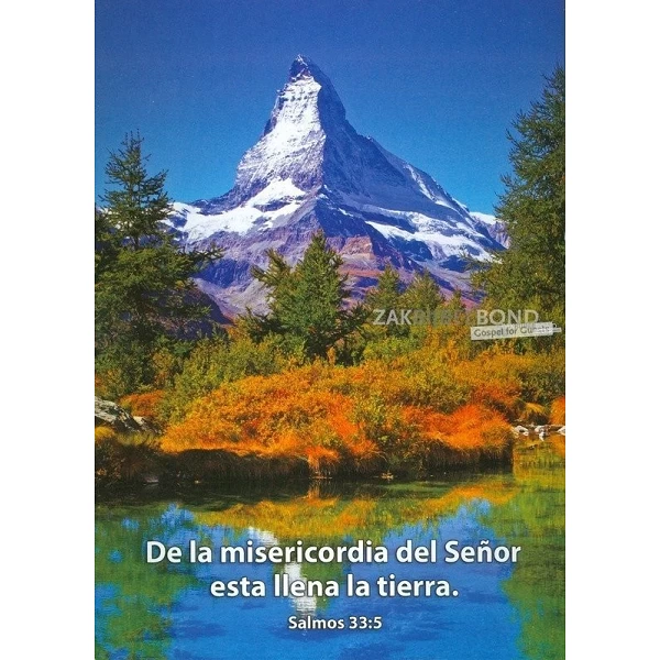 Spaans, Ansichtkaart, 12 verschillende tekstkaarten met foto