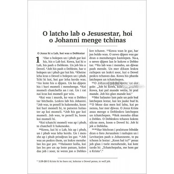 Romani-Sinti, Nieuw Testament + div. boeken OT, vinyl kaft