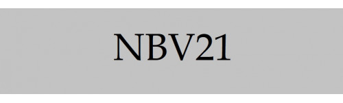 BUY NBV21 BIBLE